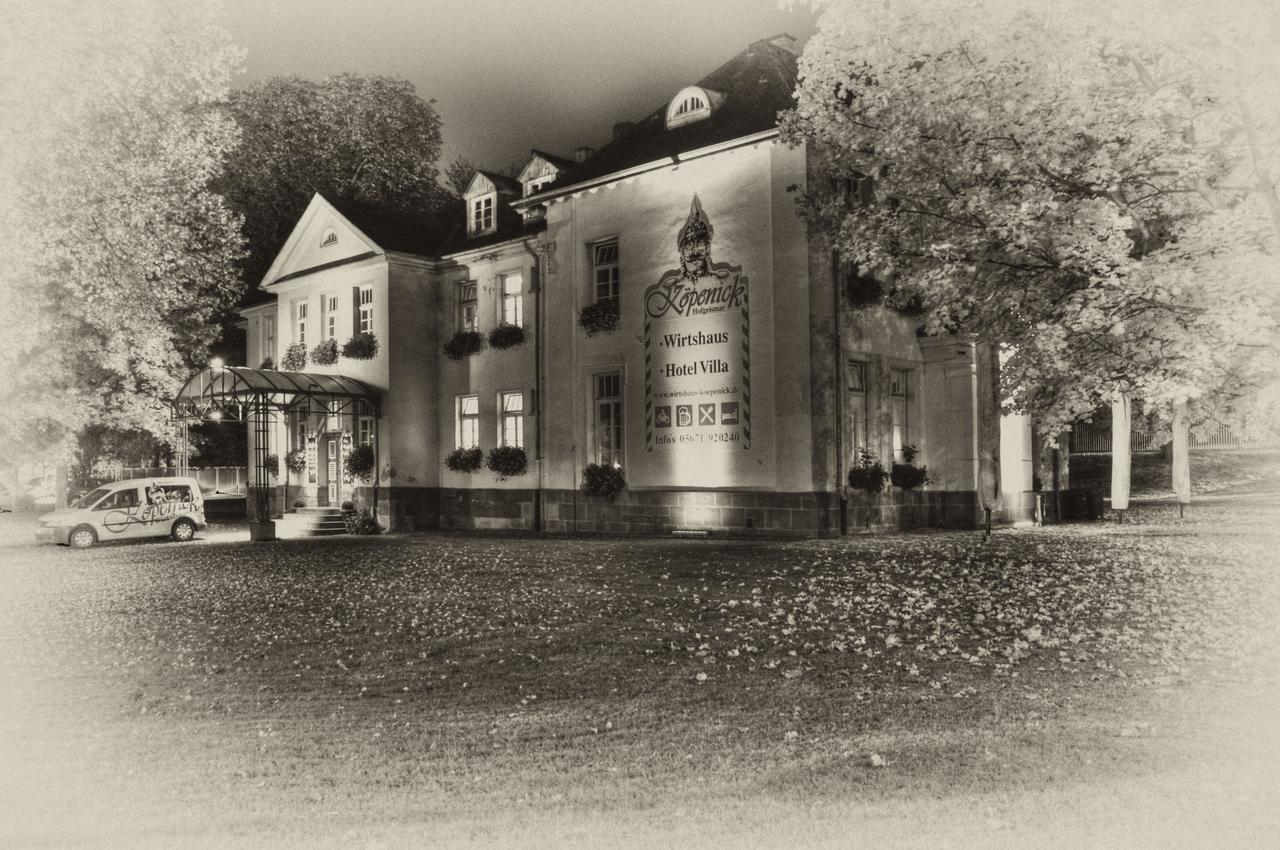 Hotel Villa Wirtshaus Koepenick Hofgeismar Dış mekan fotoğraf